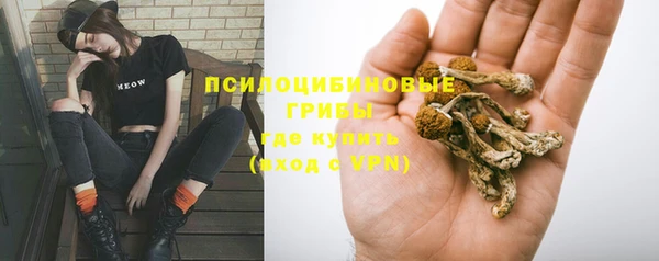 spice Горняк