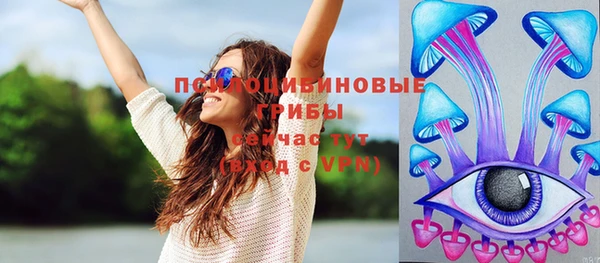 дживик Горнозаводск