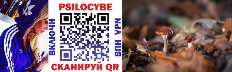 Галлюциногенные грибы MAGIC MUSHROOMS  цена   Емва 